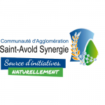 Saint-Avold Synergie